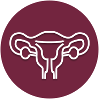 Gynecological icon